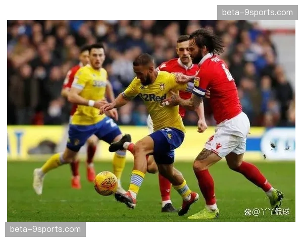 诺丁汉森林伤病名单冗长 伍德博利归期未定影响保级战力
